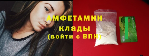 твердый Болотное