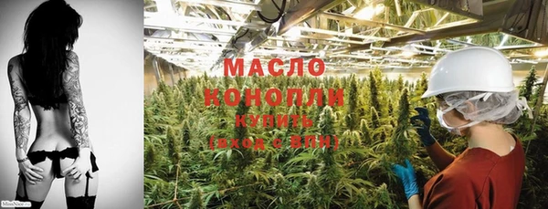стафф Тосно