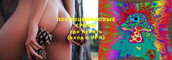 стаф Нефтегорск