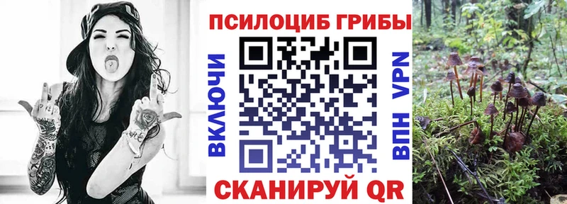 Псилоцибиновые грибы Magic Shrooms Скопин