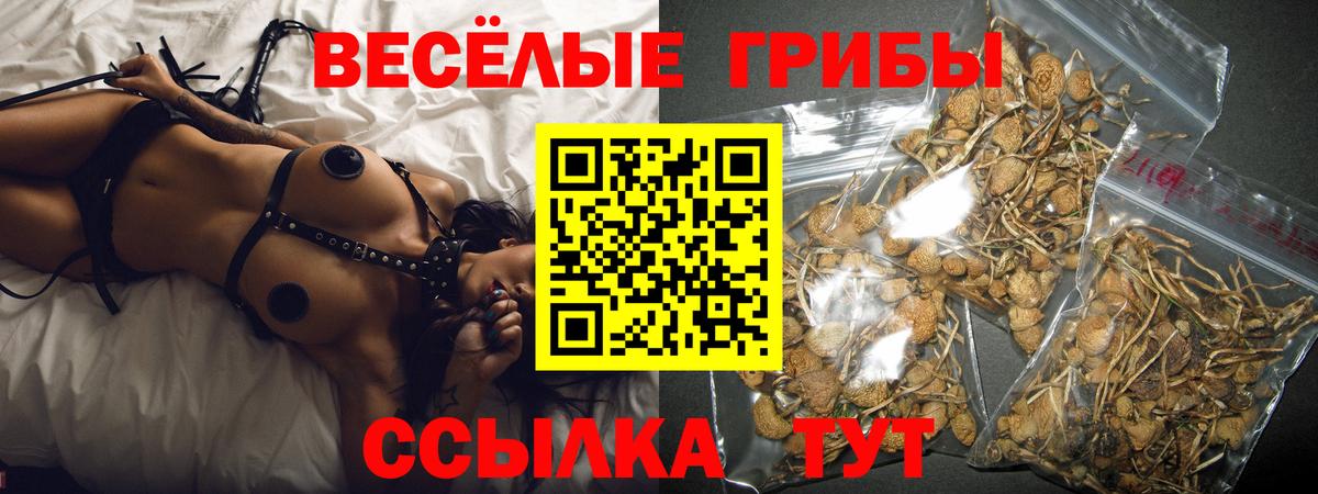 Галлюциногенные грибы Cubensis Скопин
